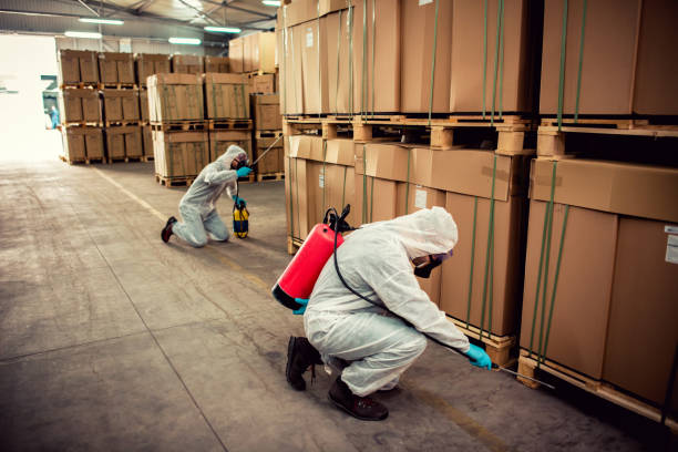 Best Cockroach Control Services  in Three Way, TN