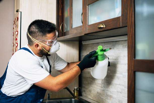 Best Best Pest Control Companies  in Three Way, TN