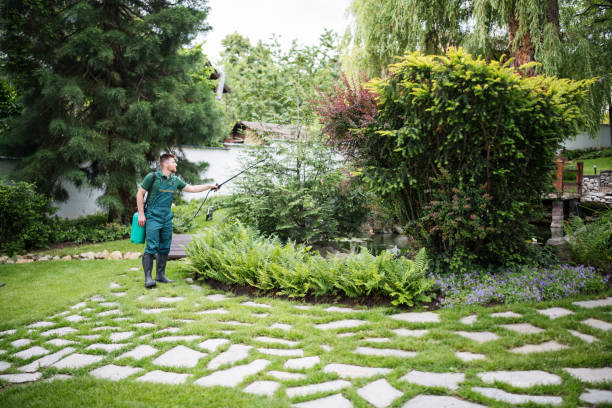 Best Mosquito Control Services  in Three Way, TN