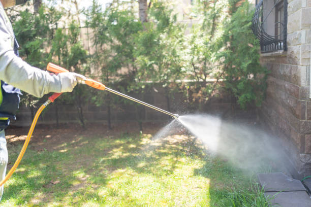 Best Termite Control Services  in Three Way, TN