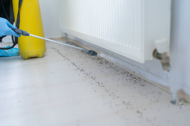 Reliable Three Way, TN Pest Control Solutions