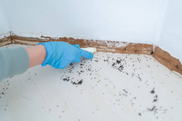 Best Wildlife Control Services  in Three Way, TN